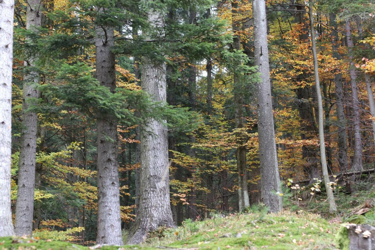 Tylko Tu Bieszczady, Balia, Sauna Baligrod Bagian luar foto