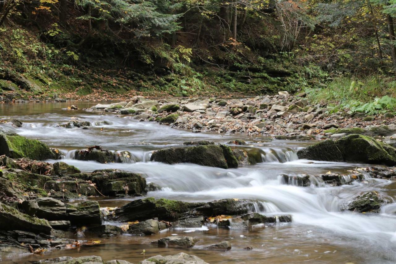 Tylko Tu Bieszczady, Balia, Sauna Baligrod Bagian luar foto